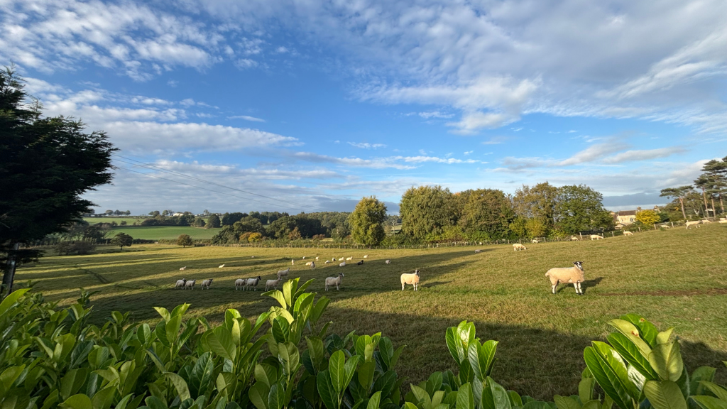 Yorkshire Dales holiday park