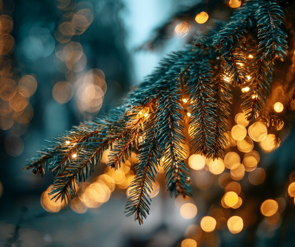 Things to Do in North Yorkshire With Kids This Christmas: Magical Family Days Out Near Akebar Park