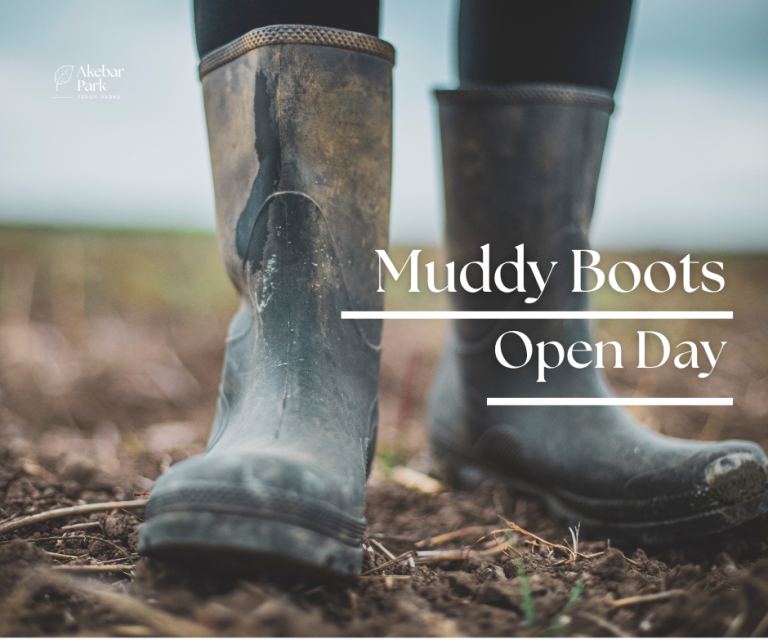 luxury lodges for sale north yorkshire