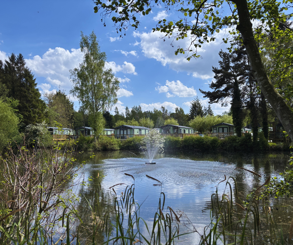 lodges for sale north yorkshire
