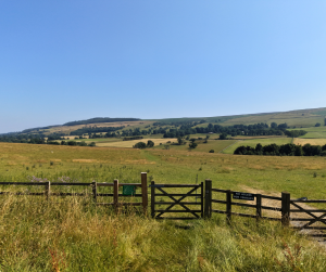luxury lodges for sale north yorkshire